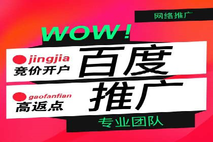 百度推广成功案例分析